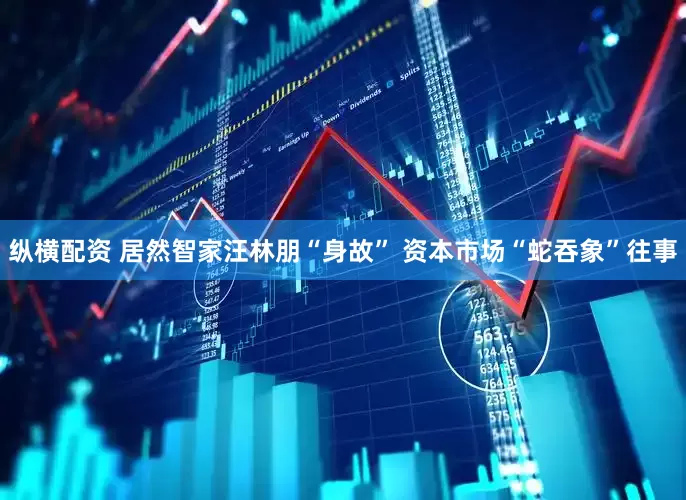 纵横配资 居然智家汪林朋“身故” 资本市场“蛇吞象”往事