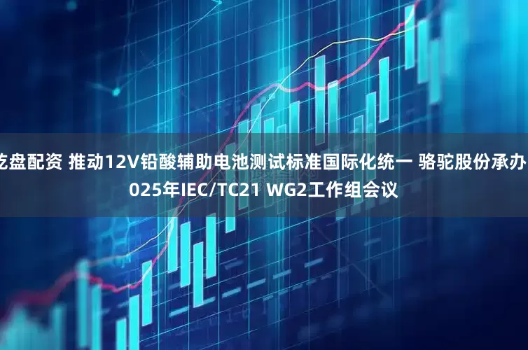 乾盘配资 推动12V铅酸辅助电池测试标准国际化统一 骆驼股份承办2025年IEC/TC21 WG2工作组会议
