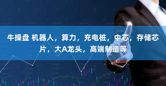 牛操盘 机器人，算力，充电桩，中芯，存储芯片，大A龙头，高端制造等